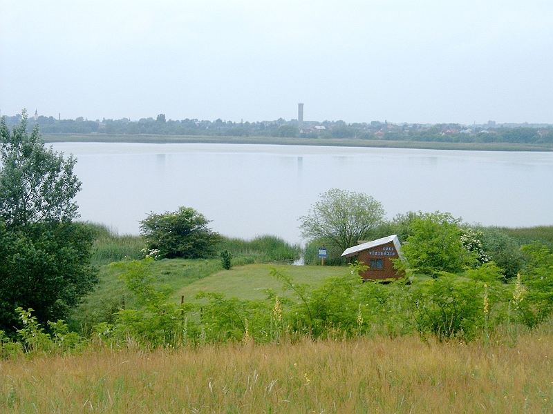 20100530 001.jpg